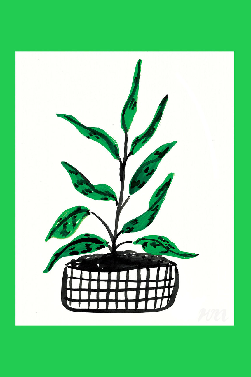 Green Plant Print Sale