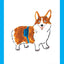 Corgi Pet Store Dog Print