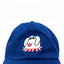 Cool Dog Kids Hat