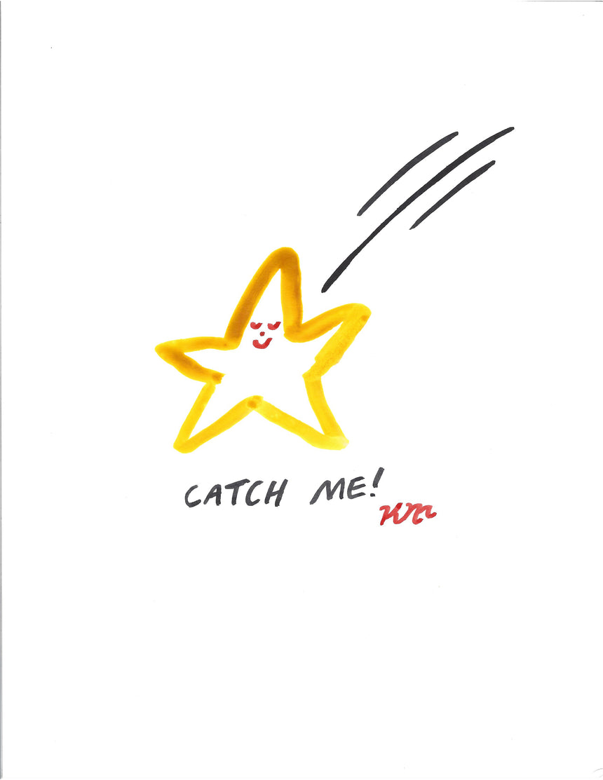 Catch a Falling Star #1 Painting