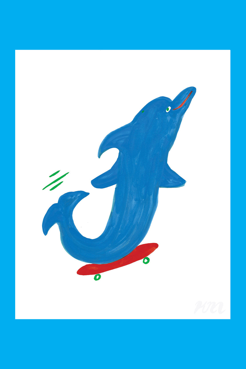 Dolphin Skater Print