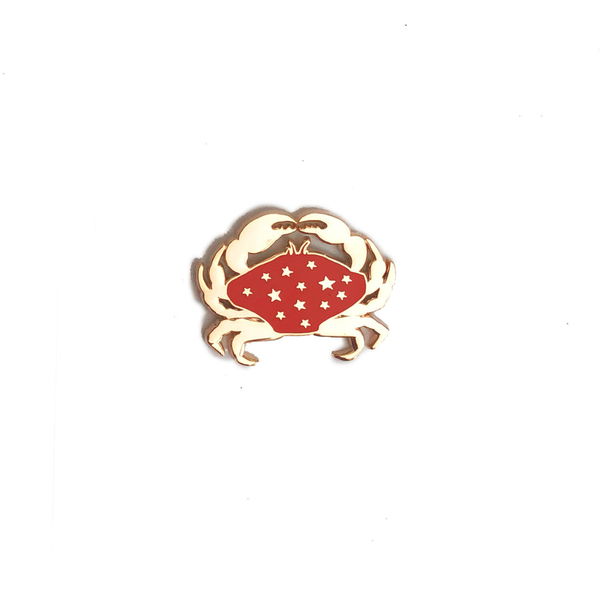 Cancer Lapel Pin