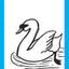 Swan Print