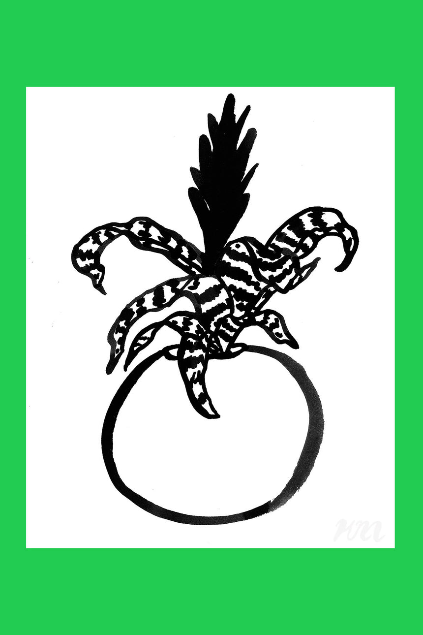 Bromeliad Plant Print