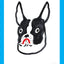 Boston Terrier Dog Head Print