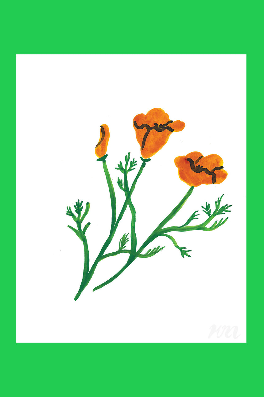 California Poppy Plant Print
