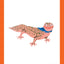Leopard Gecko Pet Store Print