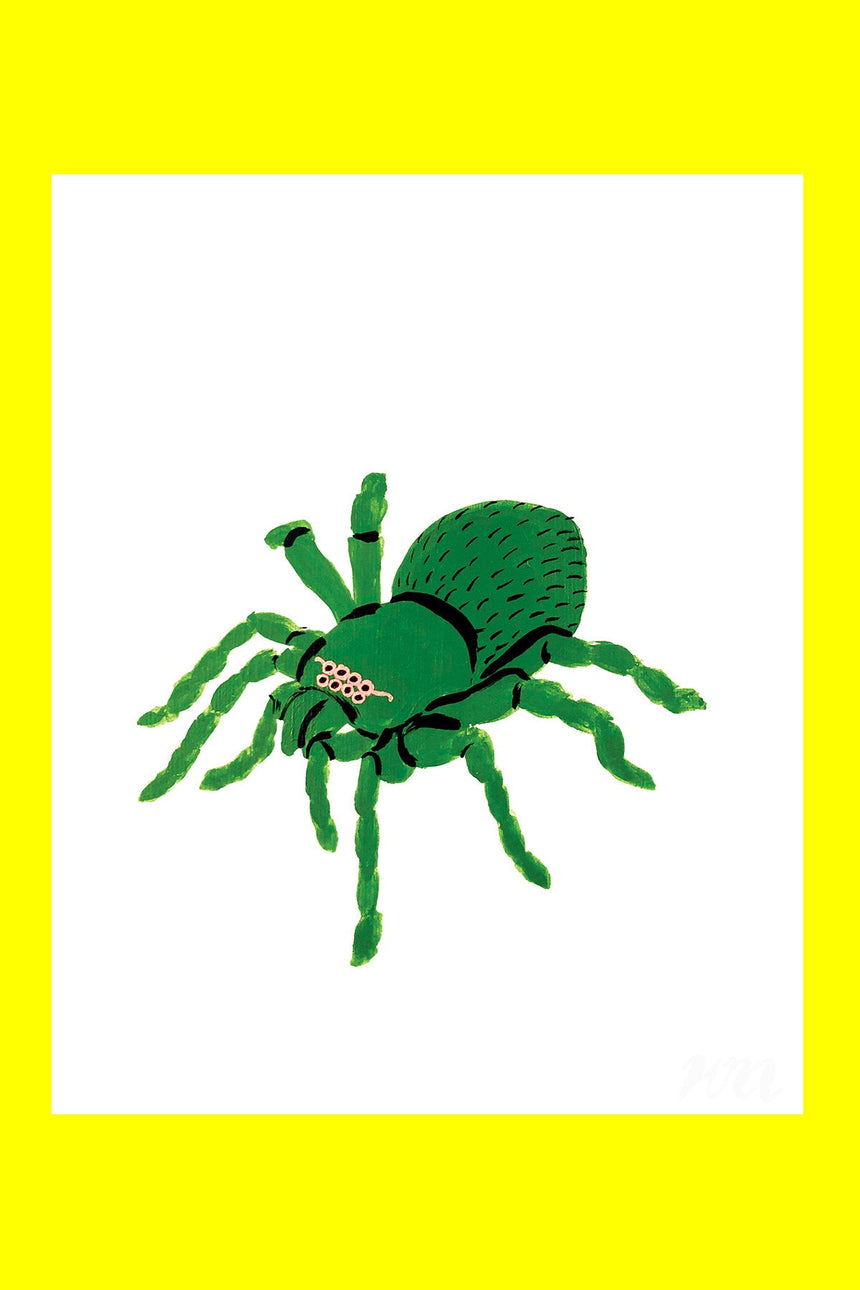 Tarantula Pet Store Print
